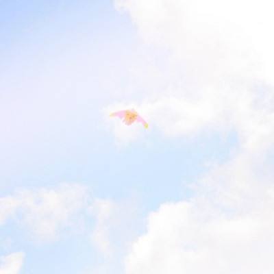 合理调价 保障经济平稳运行——专家解读本次汽油、柴油价格调控